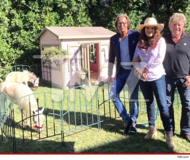 Lisa Vanderpump with miniature horses