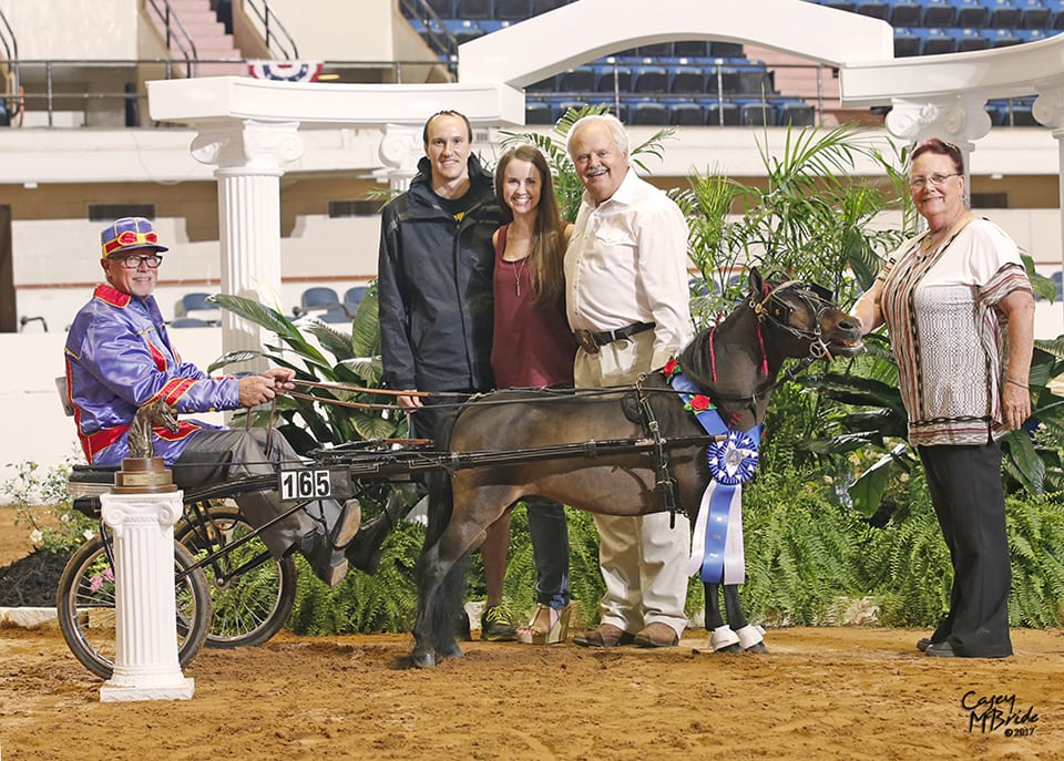 Guinness World Champion miniature horse driving, Wayne Martin Bauknight Jr, Lauren Greaves, Tony Greaves