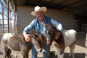 miniature horses Tony Greaves barn pinto appaloosa