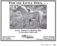 Little America historical ad