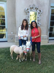 Lisa Vanderpump palomino miniature horses California