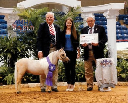 newborn mini horse