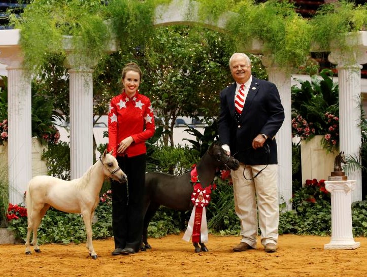 Tony and Lauren Greaves, AMHA World Reserve Champion Produce of Dam