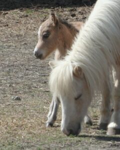 Secrets Miss St Pat Selfie