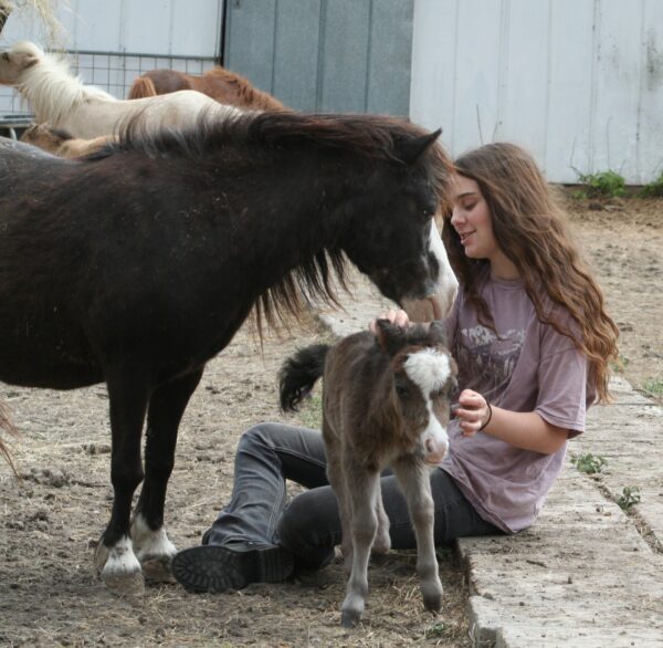 Little America’s Music Man Boogie